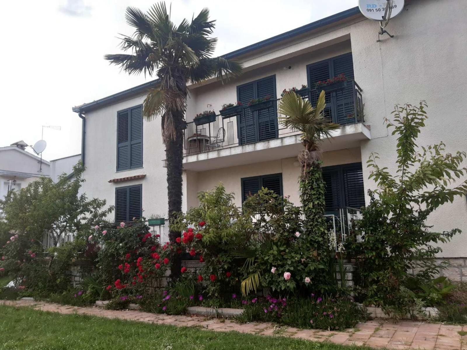 Apartments Palm House Rovigno Esterno foto