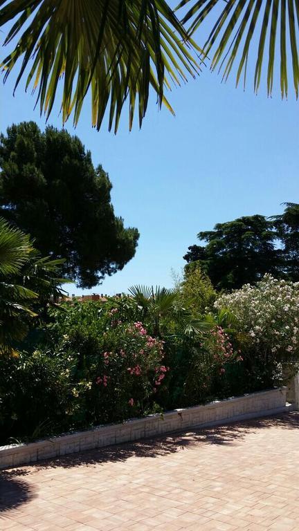 Apartments Palm House Rovigno Esterno foto